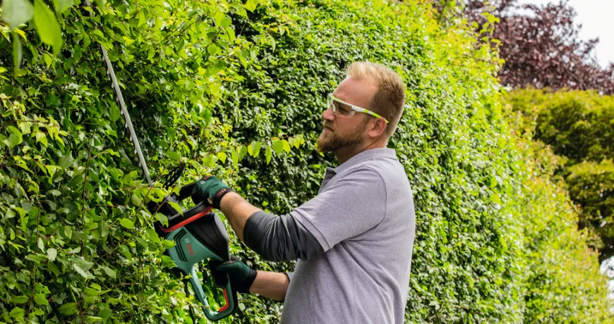 Bosch el-hækkeklipper 480 W 50 cm