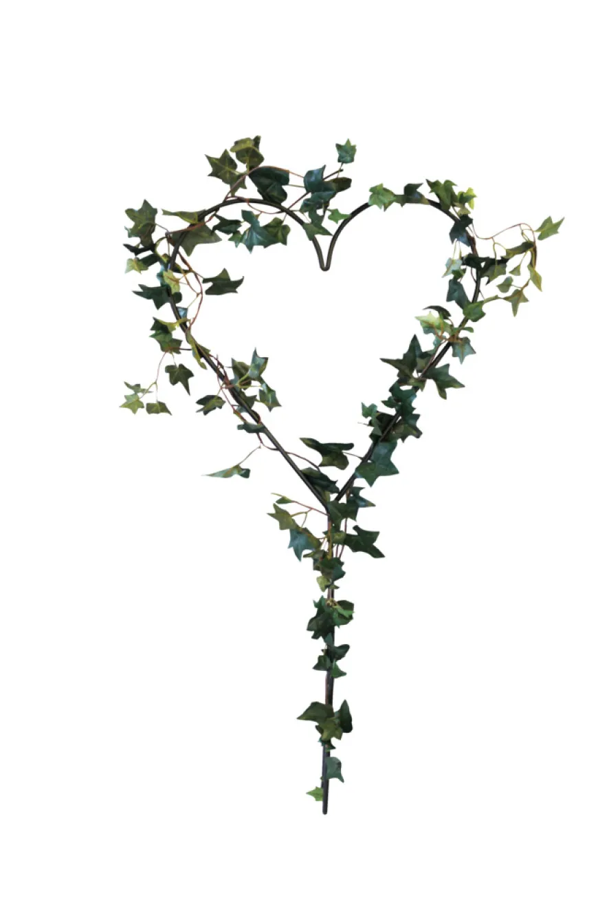Hjerteformet espalier 39 x 79 cm