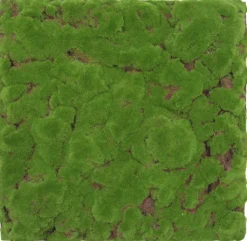 Jangal Modular Wall mospanel 52 x 52 cm - Forrest Green Bulk