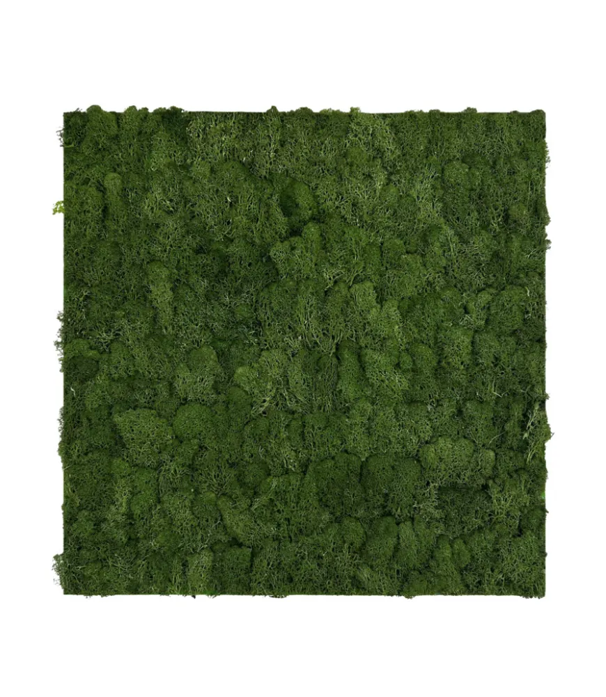 Jangal Modular Wall mospanel 52 x 52 cm - Dark Green