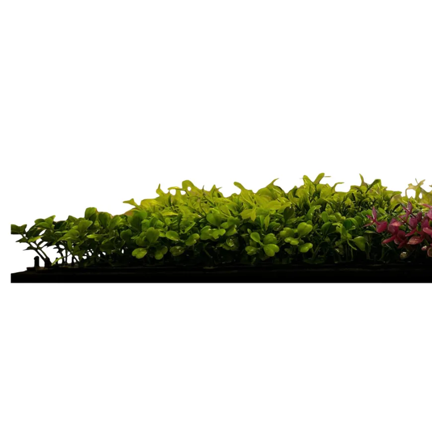 Jangal Modular Wall plantepanel 52 x 52 cm - Pink Mix