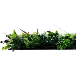 Jangal Modular Wall plantepanel 52 x 52 cm - Exotic Mix