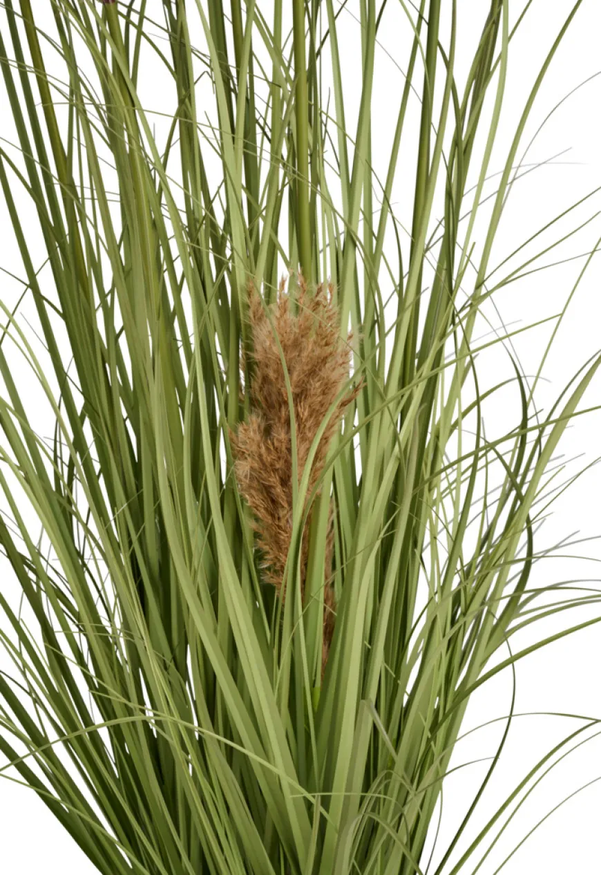 Kunstgræs med ægte pampas 120 cm
