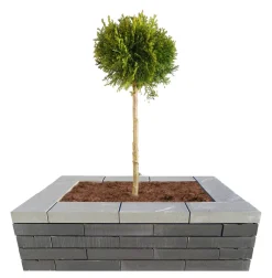 Topplade Nordic Wall grå 60 x 30 x 10 cm